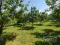 Kuća Prodaja Sremski Karlovci  230 m2