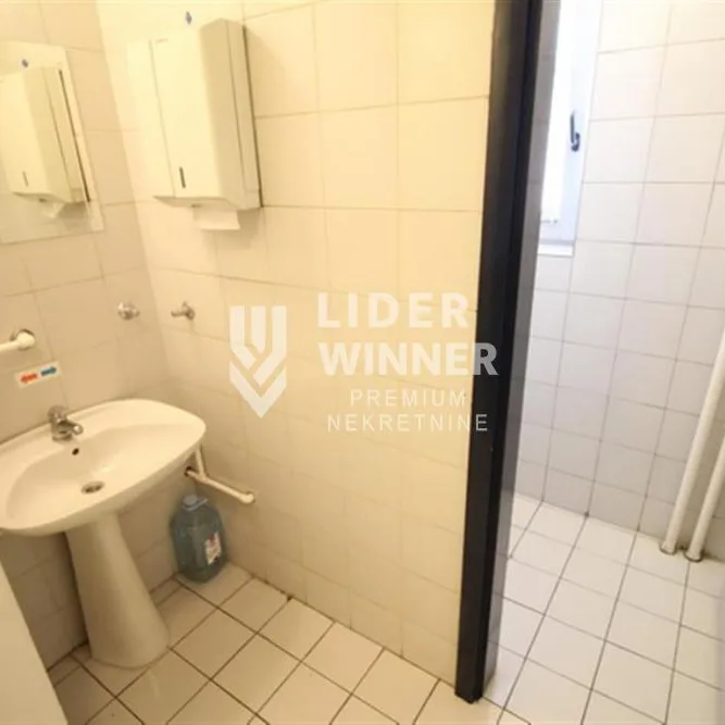 Lokal Izdavanje Beograd Centar (Palilula) 220 m2