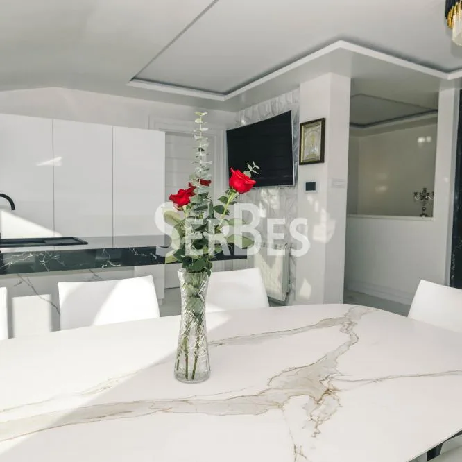 Višesoban stan za izdavanje, Socijalno, Novi Sad, 341m², 8.500 €/mes