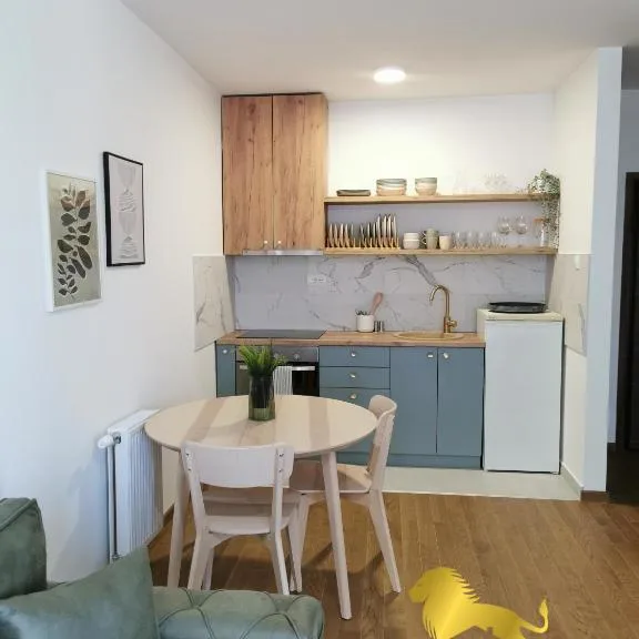 Stan Izdavanje Novi Sad  45 m2