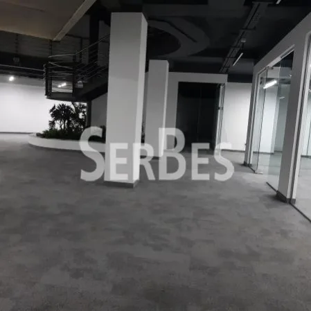 Lokal za izdavanje, Bulevar Oslobođenja, Novi Sad, 305m², 2.450 €/mes