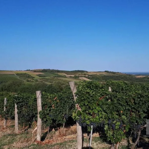 Plac Prodaja Beočin  10000 m2
