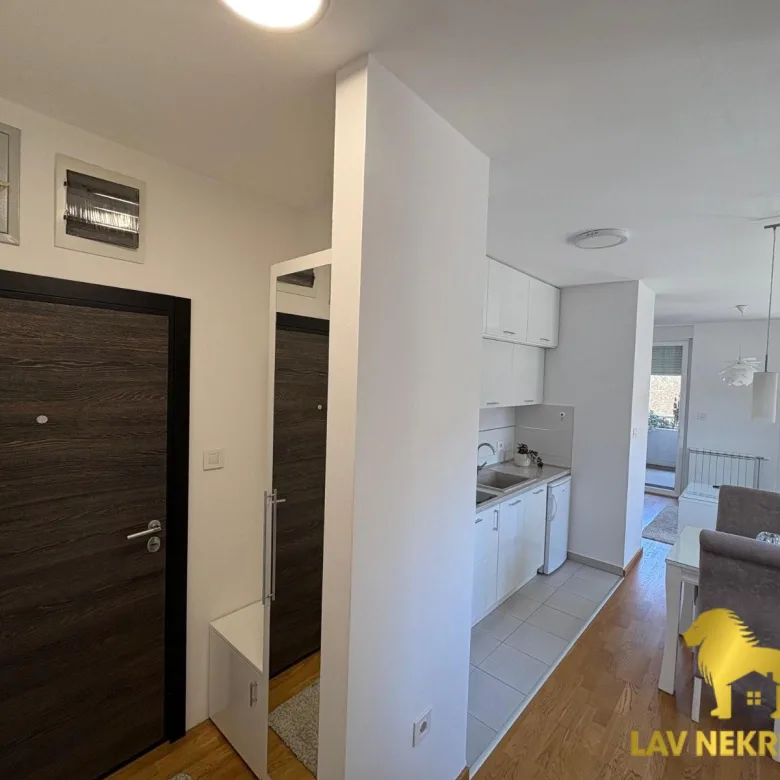 Jednosoban stan za izdavanje, Futoška, Novi Sad, 35m², 450 €/mes