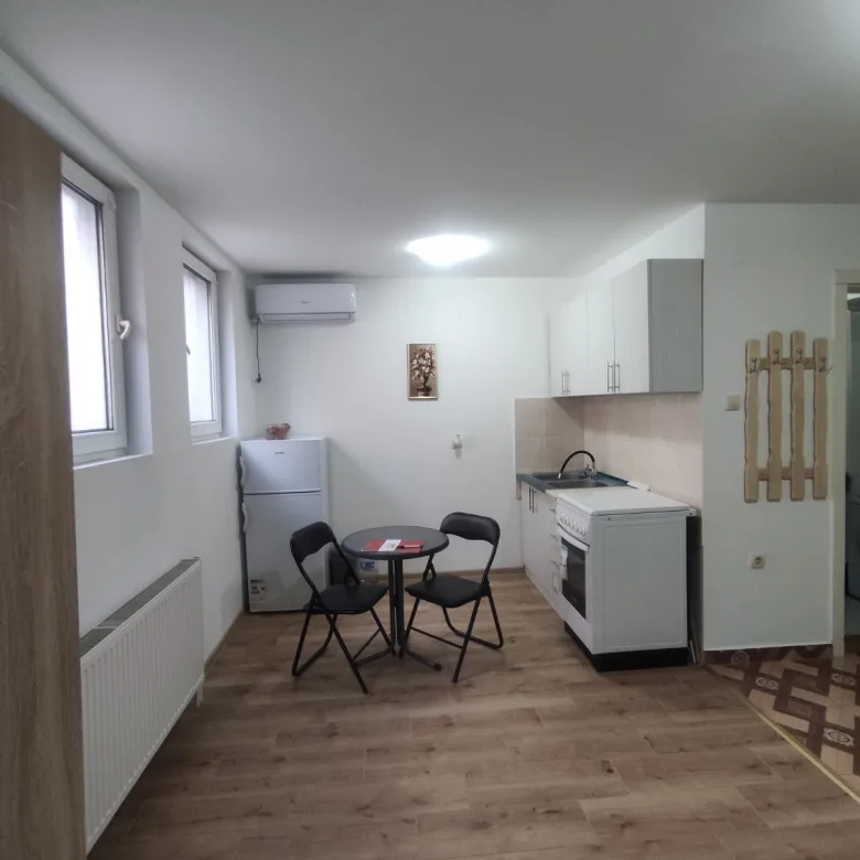 Stan Izdavanje Novi Sad Cara Dušana 25 m2