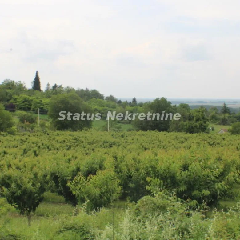 Plac na prodaju, Krčedin, Inđija, 114,81 ari, 105.000 €