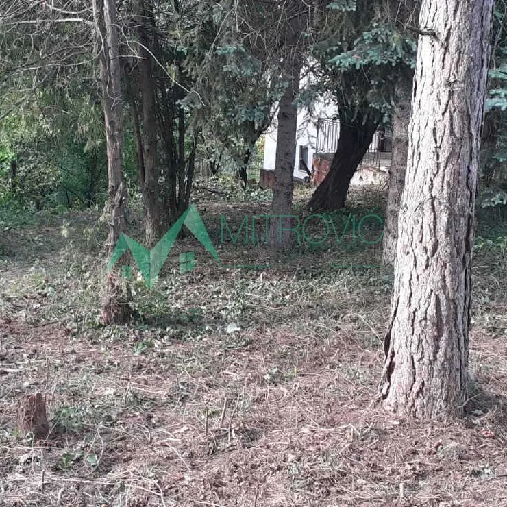 Plac na prodaju, Čortanovci, Inđija, 890m², 27.500 €