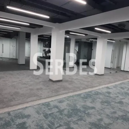 Lokal Prodaja Novi Sad  305 m2