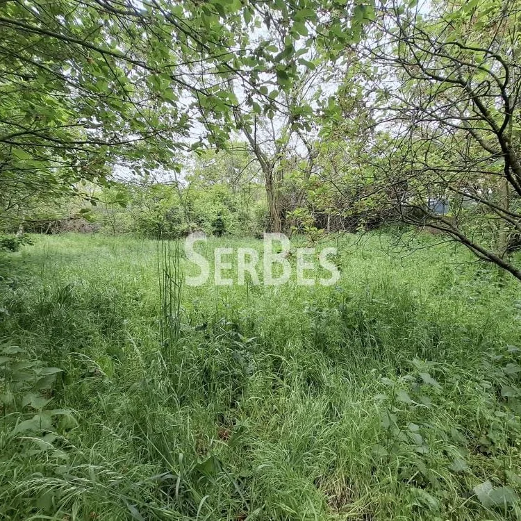 Plac Prodaja Beočin  0 m2