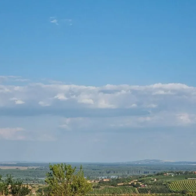 Plac Prodaja Novi Sad  0 m2