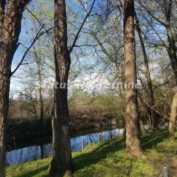 Kuća Prodaja Bačka Topola  465 m2