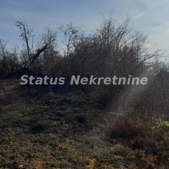 Plac Prodaja Beočin  0 m2