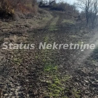 Plac Prodaja Beočin  0 m2