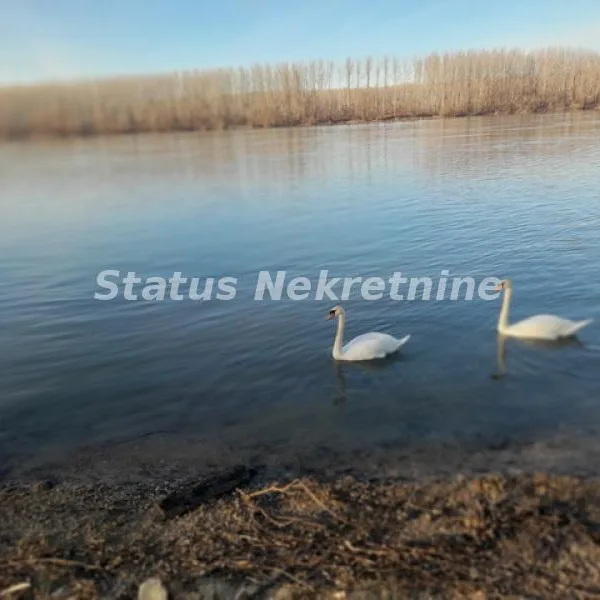 Plac Prodaja Beočin  0 m2