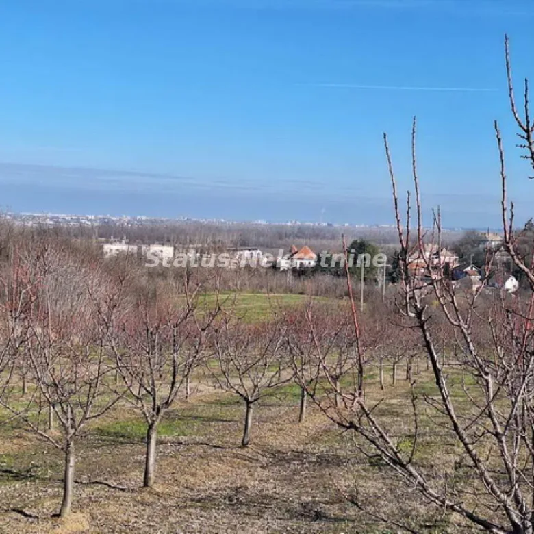 Plac Prodaja Beočin  0 m2
