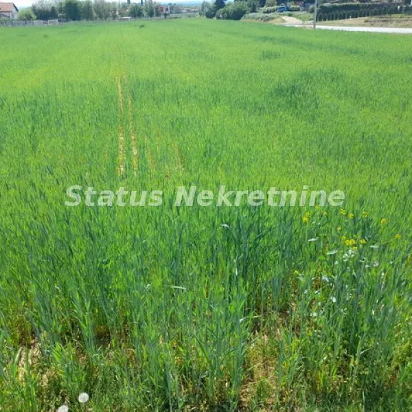 Plac Prodaja Irig  0 m2