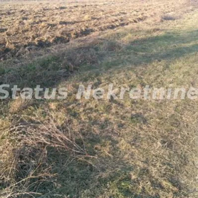 Plac Prodaja Sremski Karlovci  0 m2