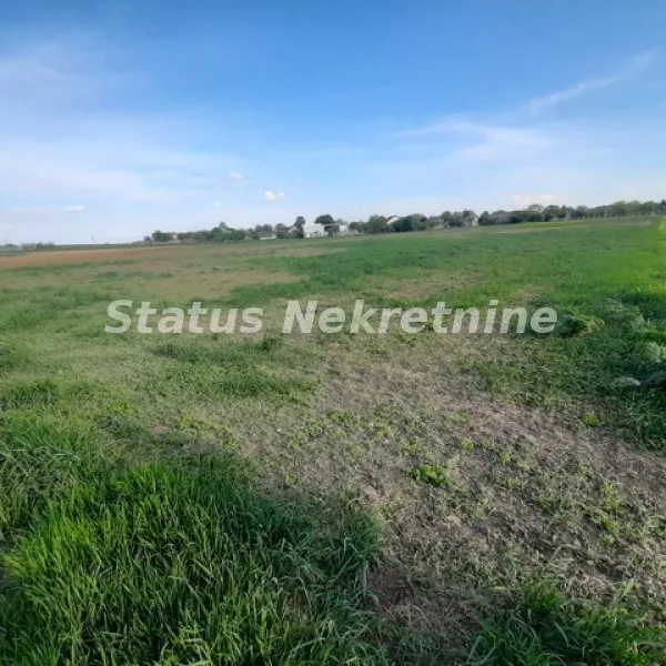 Plac Prodaja Novi Sad  0 m2