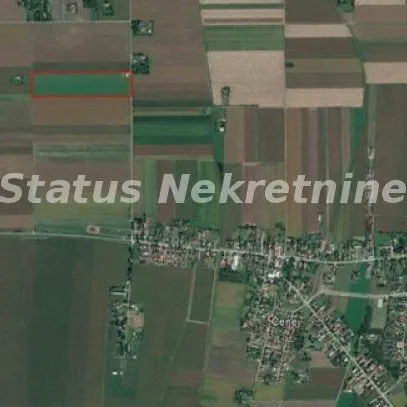 Kuća Prodaja Novi Sad  295 m2