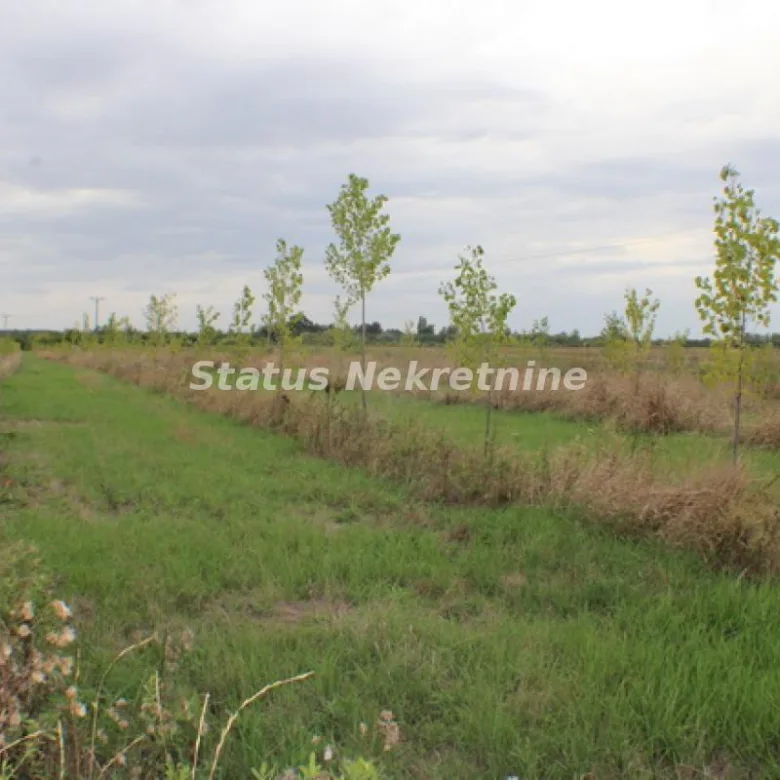 Plac Prodaja Zrenjanin  0 m2