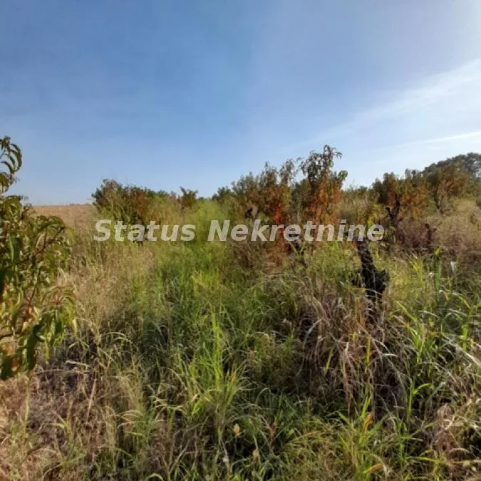 Plac Prodaja Sremski Karlovci  0 m2