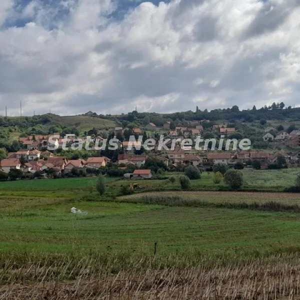 Plac Prodaja Novi Sad  0 m2