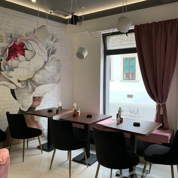 Lokal na prodaju, Centar, Sremski Karlovci, 250m², 257.500 €