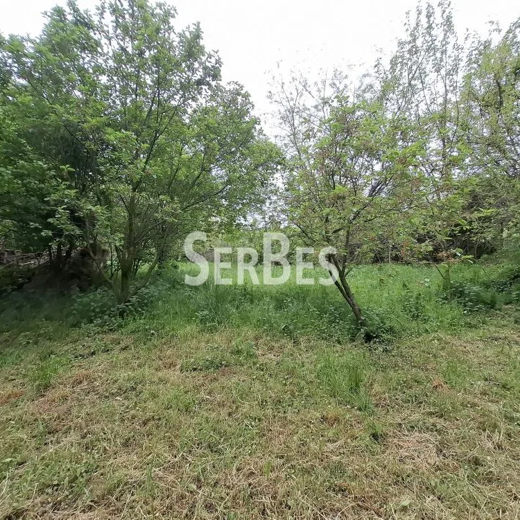 Plac na prodaju, Čerević, Beočin, 10,48 ari, 47.000 €