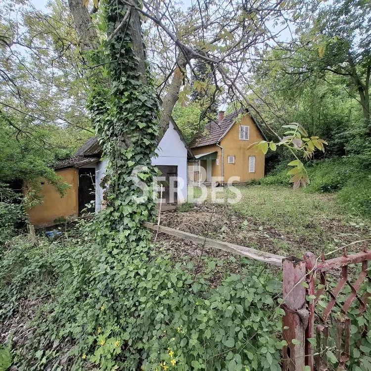 Plac na prodaju, Čerević, Beočin, 10,48 ari, 47.000 €