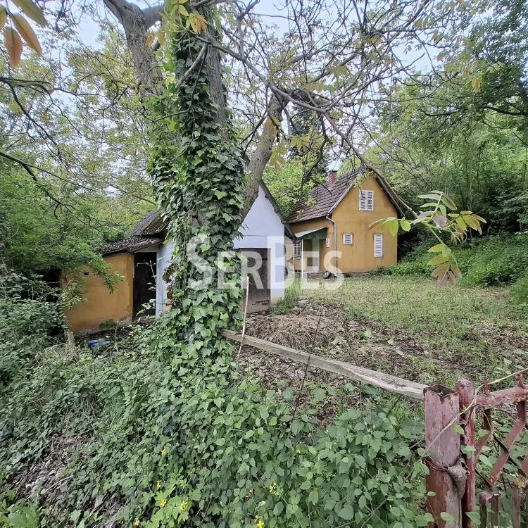 Plac na prodaju, Čerević, Beočin, 10,48 ari, 47.000 €