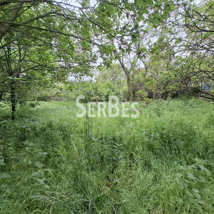 Plac na prodaju, Čerević, Beočin, 10,48 ari, 47.000 €