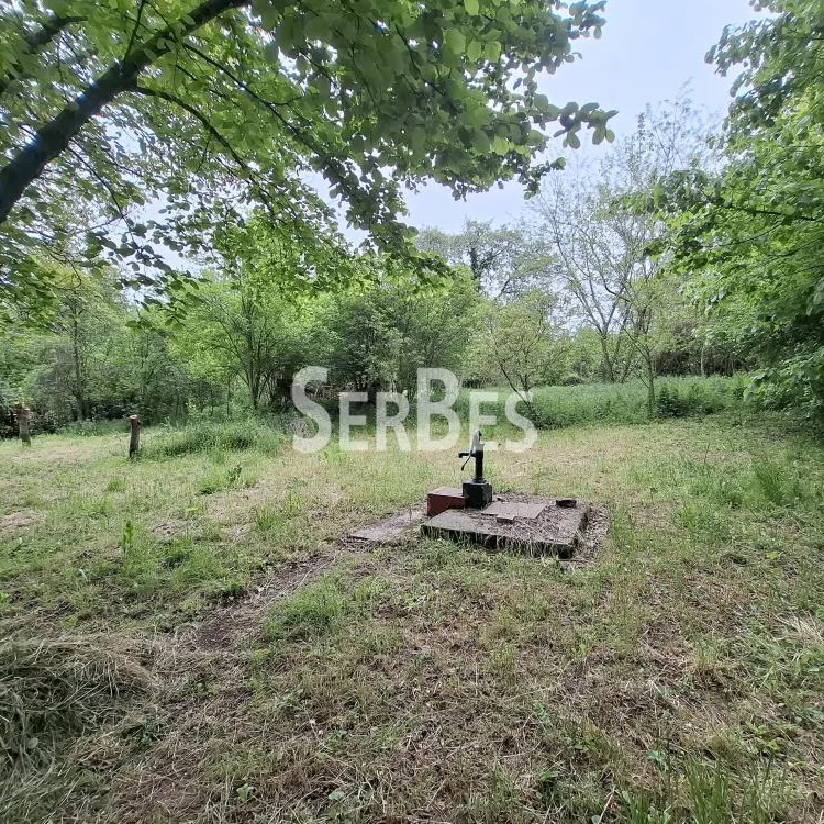 Plac na prodaju, Čerević, Beočin, 10,48 ari, 47.000 €