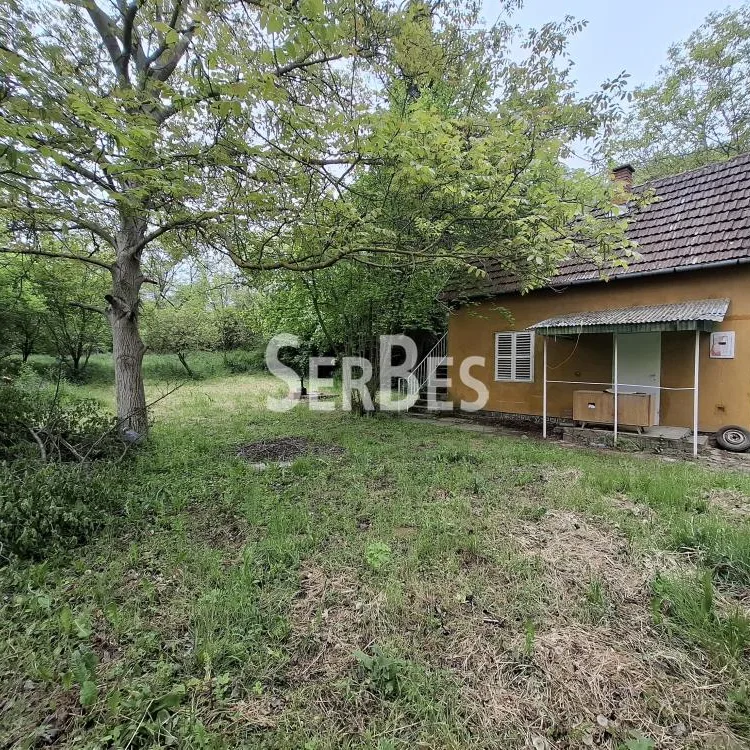 Plac na prodaju, Čerević, Beočin, 10,48 ari, 47.000 €