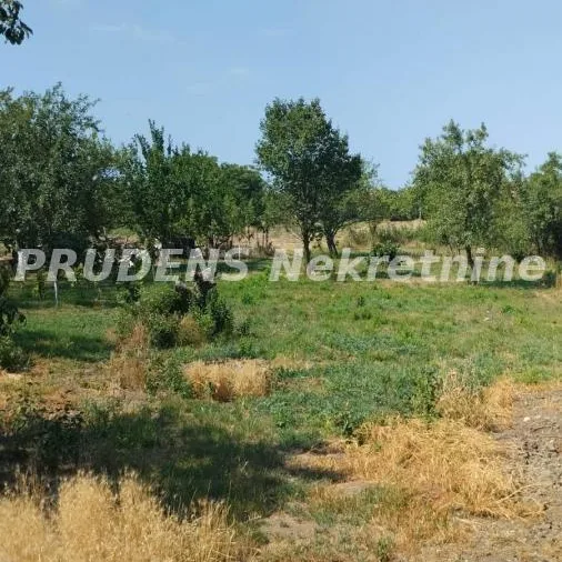 Kuća na prodaju, Dobanovci, Beograd, 300m², 350.000 €