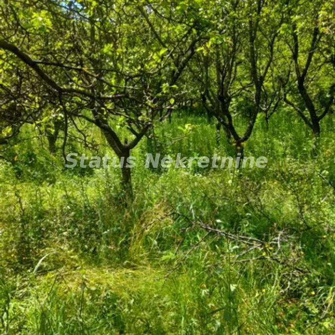 Plac na prodaju, Inđija, 21,65 ari, 35.000 €