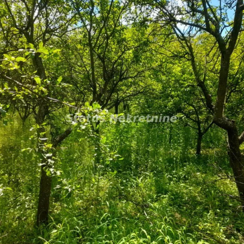 Plac na prodaju, Inđija, 21,65 ari, 35.000 €