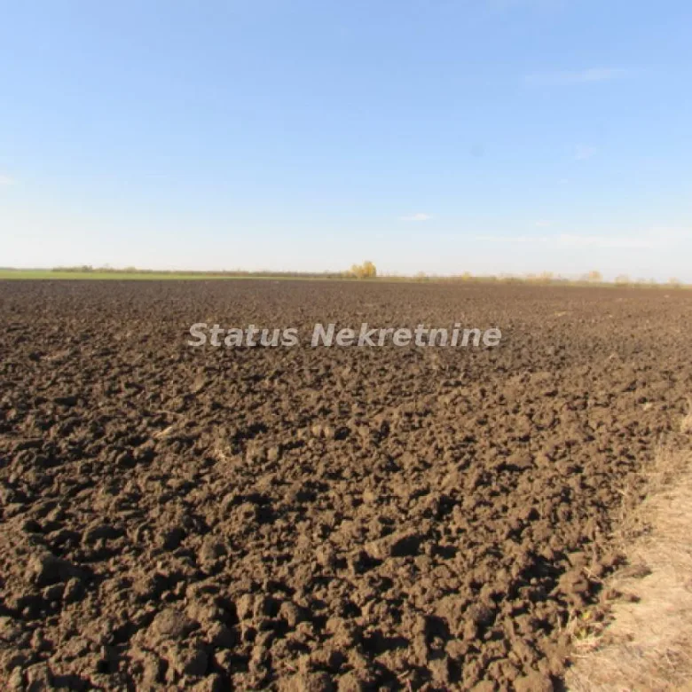 Plac na prodaju, Sremska Mitrovica, 604,5 ari, 226.600 €