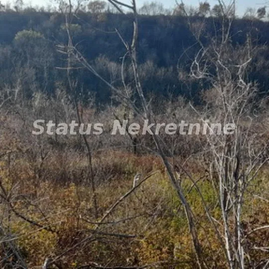 Plac na prodaju, Beočin, 130,11 ari, 17.000 €