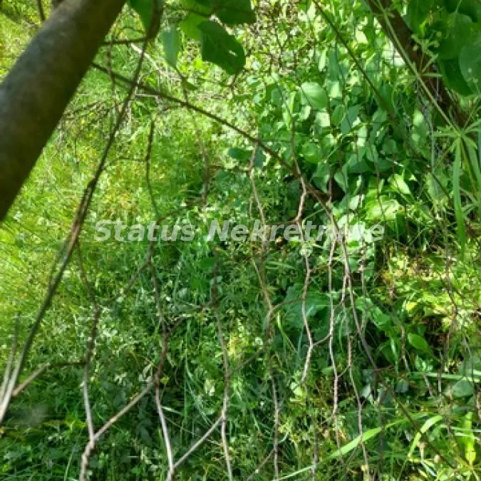 Plac na prodaju, Inđija, 21,65 ari, 35.000 €