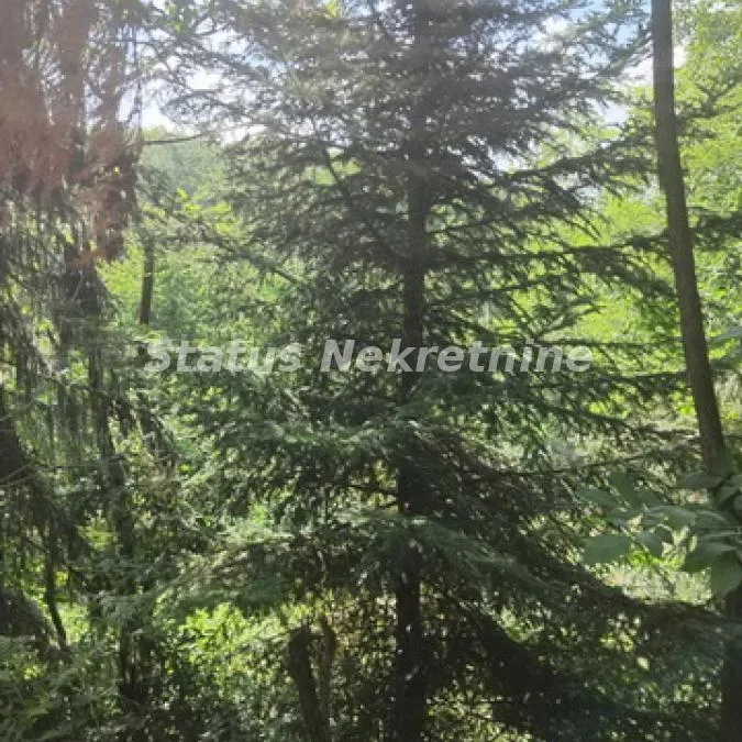 Plac na prodaju, Beočin, 7,85 ari, 30.000 €