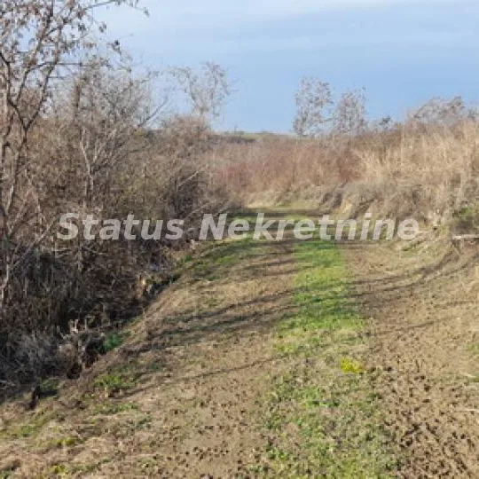 Plac na prodaju, Beočin, 130,11 ari, 17.000 €