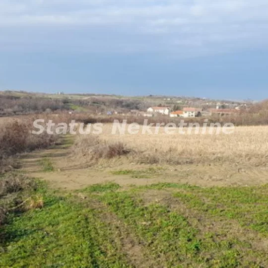 Plac na prodaju, Beočin, 130,11 ari, 17.000 €