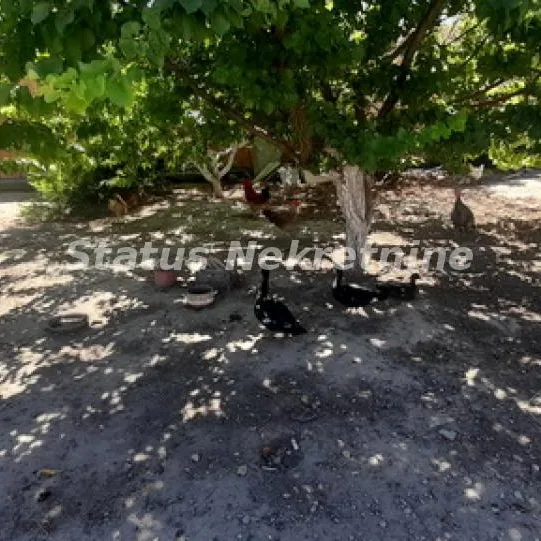 Kuća na prodaju, Titel, 137m², 66.950 €