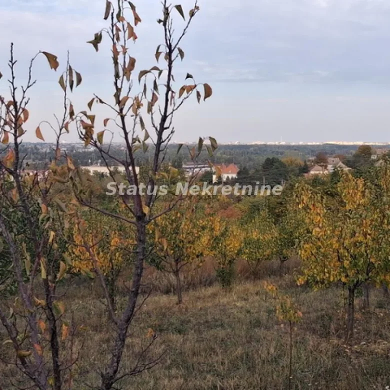 Plac na prodaju, Centar, Beočin, 75 ari, 113.300 €