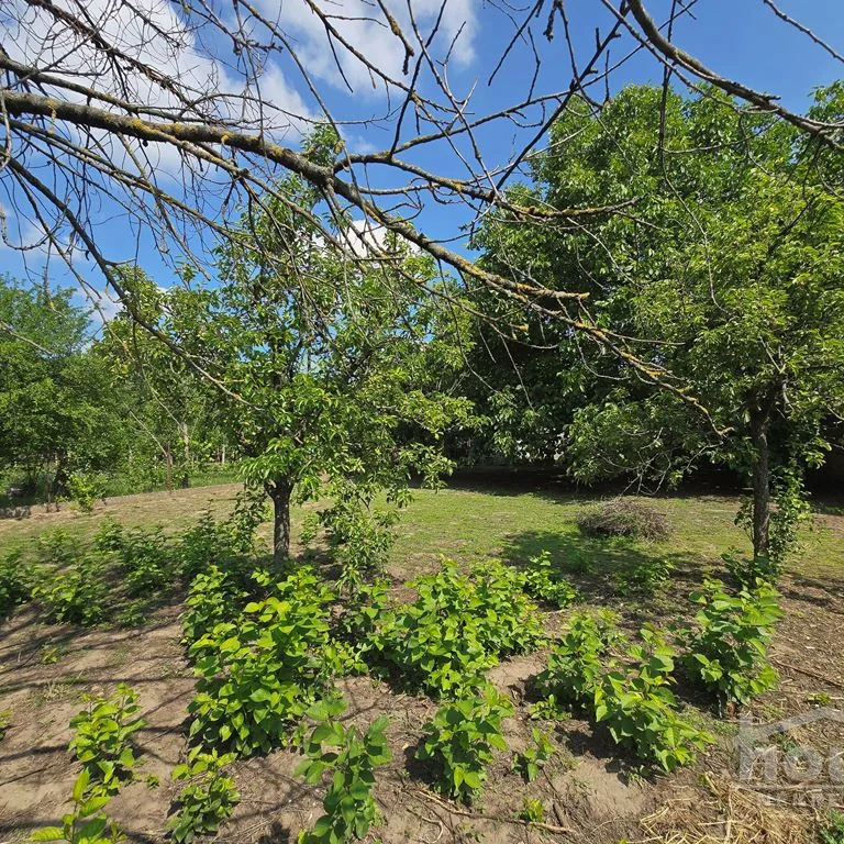 Kuća na prodaju, Zmajevo, Vrbas, 255m², Prizemlje, 156.000 €