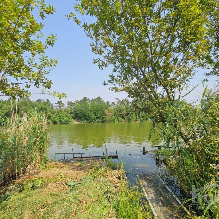 Plac Prodaja Novi Sad  983 m2