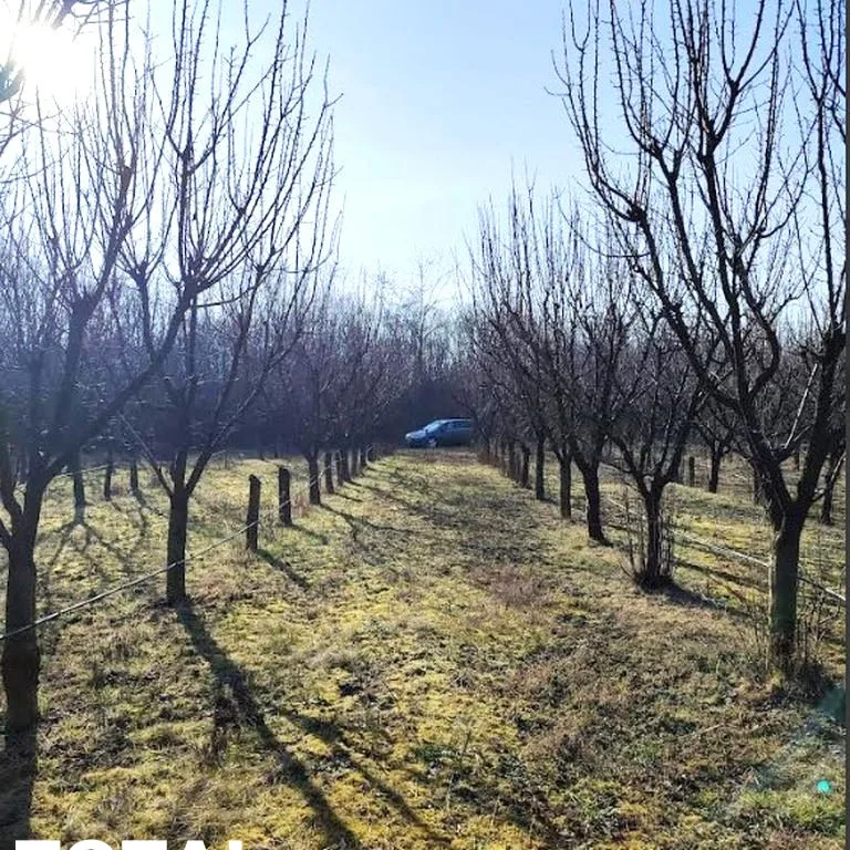Plac Prodaja Novi Sad  11019 m2