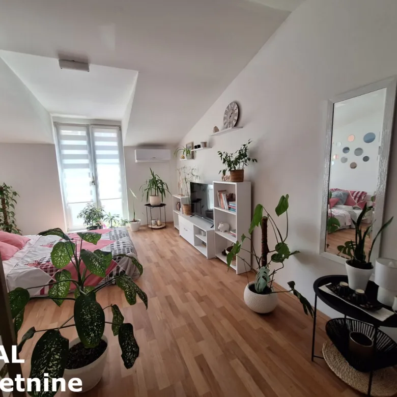 Stan Prodaja Novi Sad  50 m2