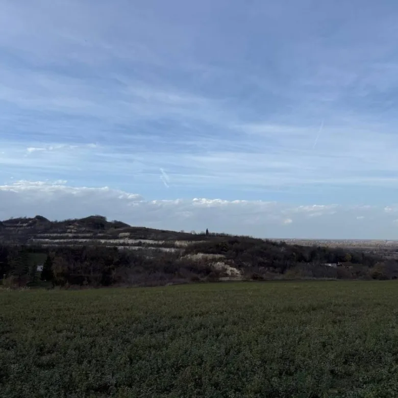 Plac Prodaja Beočin  24207 m2