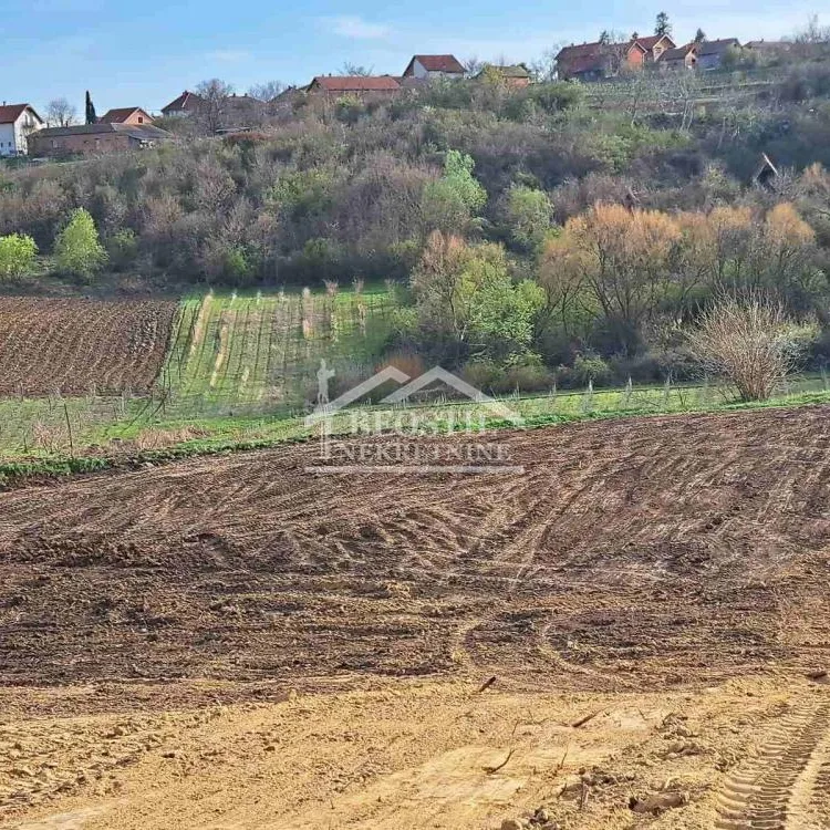 Plac na prodaju, Brestovik, Beograd, 49,66 ari, 28.000 €