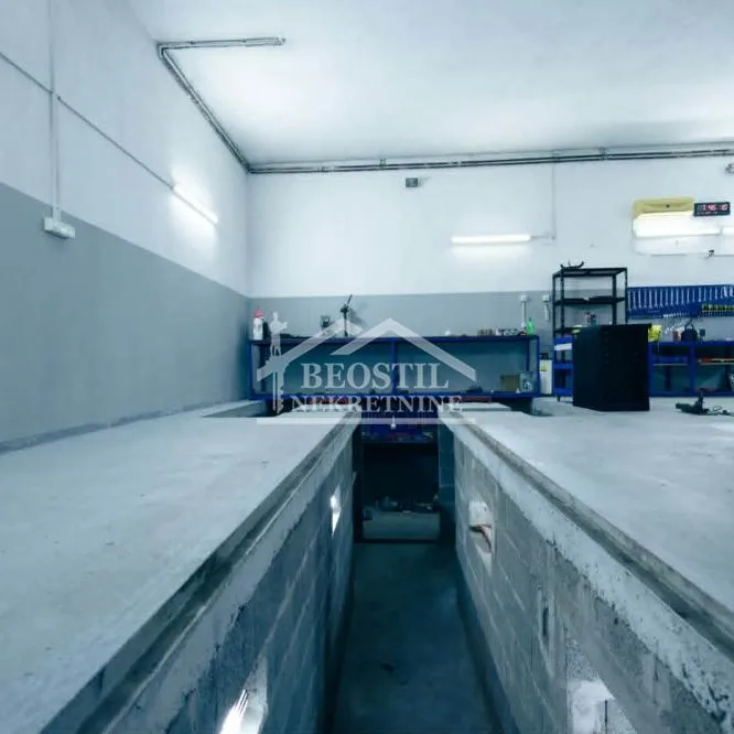 Lokal Izdavanje Beograd Ledine 120 m2